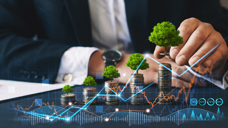 Visualización de Kuarc Impact Investing